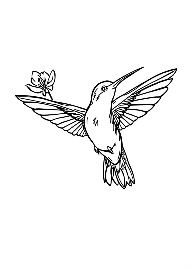 Hummingbird coloring book line art tee