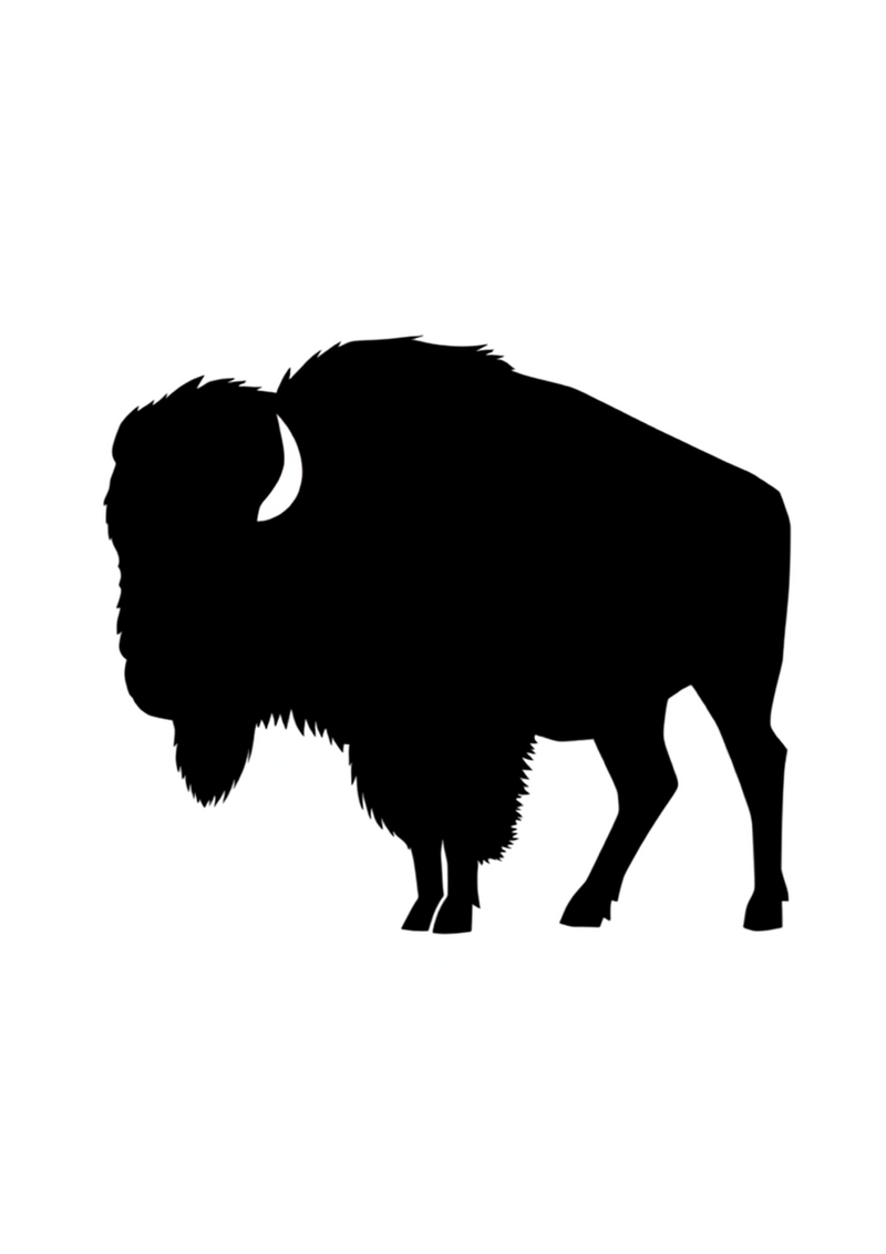 Bison silhouette on t-shirt
