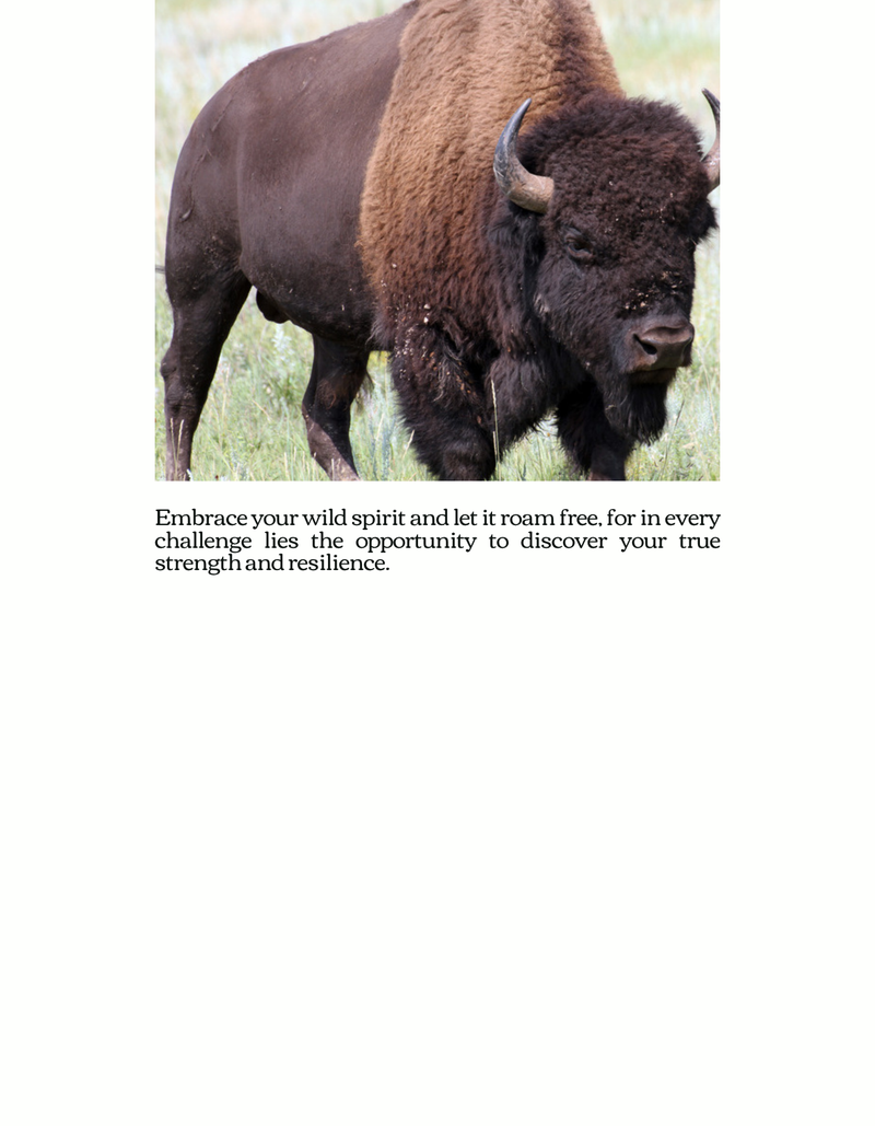 Bison Coloring Book Art Tee